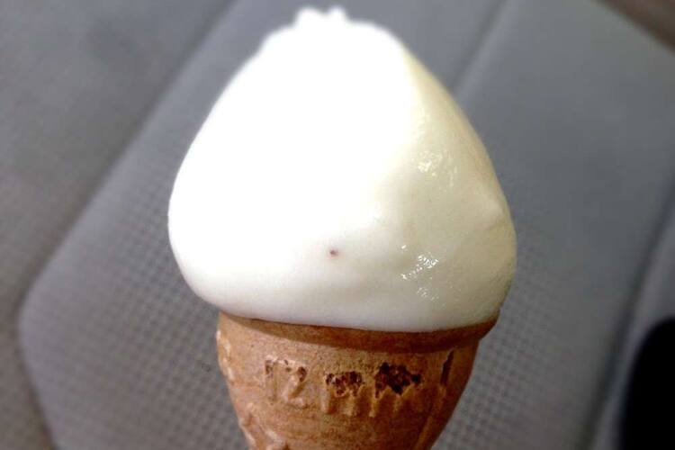 nur pastanesi korkuteli fotograflari